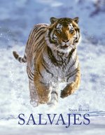 Salvajes catálogo