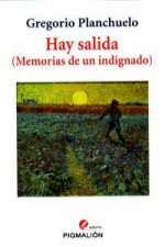 Hay salida : memorias de un indignado