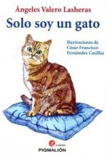 Solo soy un gato