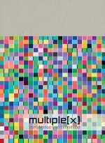 Multiplex : complejidad y sostenibilidad