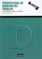 Perspectivas de Derecho del Trabajo. Cuestiones para el debate
