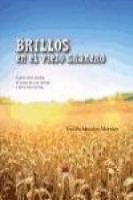 Brillos en el viejo granero