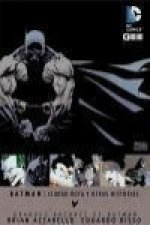 Grandes autores de Batman, Ciudad rota y otras historias