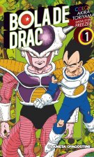Bola de Drac Freezer 1