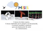 9 meses