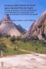 As águas subterrâneas em zonas ígneo-metamórficas de Angola : formas de apariçao e técnicas de exploraçao e aproveitamento para populaçoes rurais : o