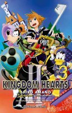 Kingdom Hearts II 03