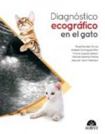 Diagnóstico ecográfico en el gato