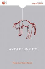 La vida de un gato