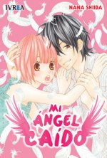 Mi ángel caido