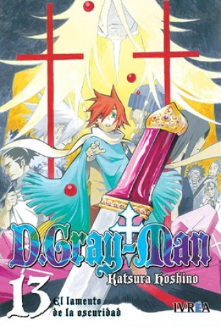 D. Gray Man 13