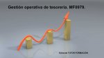 Gestión operativa de tesorería