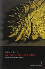 LLUM ENTRE LES DERNES. UNA ANTOLOGIA DEL