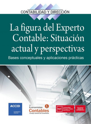 La figura del experto contable: situación actual y perspectivas