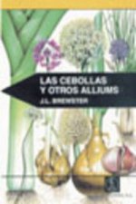 Las cebollas y otros alliums