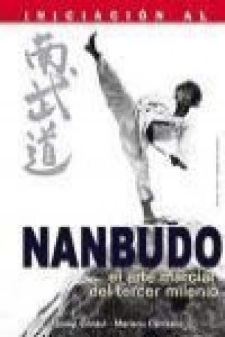 Iniciación al nanbudo : el arte marcial del tercer milenio