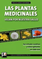 Las plantas medicinales velan por nuestra salud : sur virtudes curativas y cómo aplicarlas en cada paso