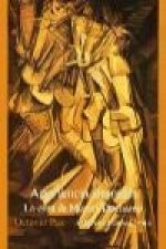 Apariencia desnuda : La obra de Marcel Duchamp