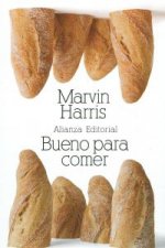 El mundo : una guía para principiantes