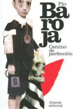 Camino de perfección : pasión mística