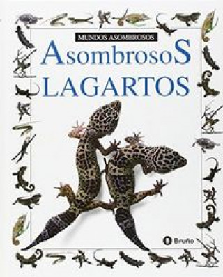Asombrosos Lagartos = Amazing Lizards