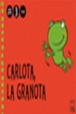 3 ANYS - 2n Trimestre CARLOTA, LA GRANOTA Belluguets