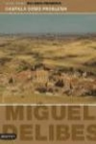 Castilla como problema