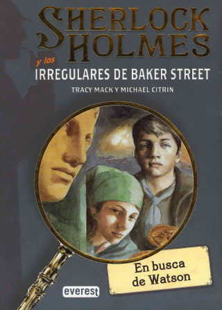 Sherlock Holmes y los irregulares de Baker Street. En busca de Watson