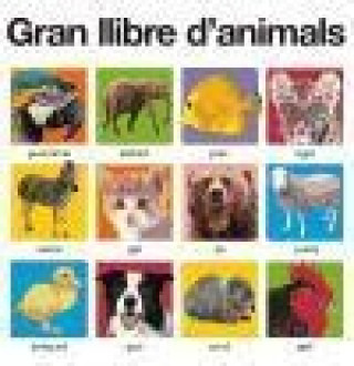 Gran llibre d'animals