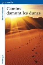 Camins damunt les dunes