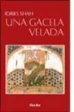 Una gacela velada : viendo cómo ver