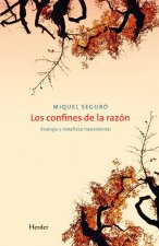 Los confines de la razón : analogía y metafísica trascendental