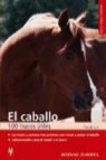 El caballo : 100 trucos útiles