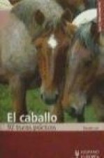 El caballo : 92 trucos prácticos