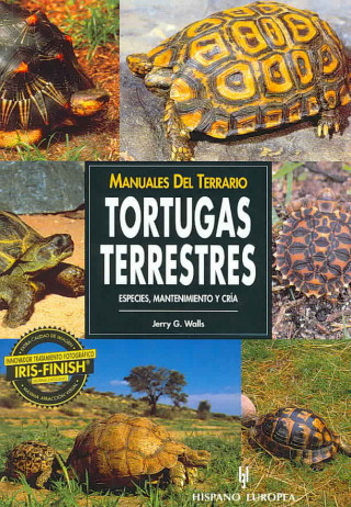 Tortugas terrestres