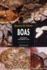 Boas : animales del terrario