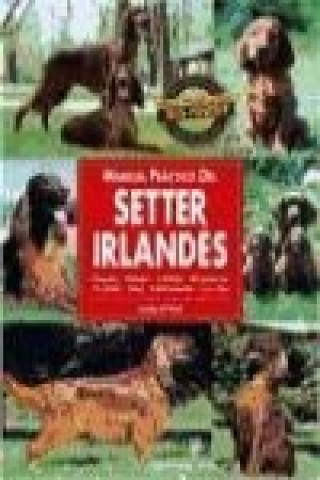 Manual práctico del setter irlandés : orígenes, estandar, cuidados, alimentación...