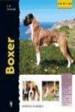 Boxer