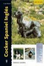Cocker spaniel inglés