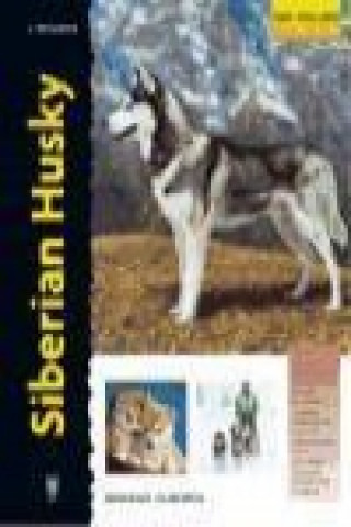 Siberian husky