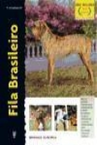 Fila brasileiro