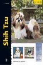 Shih tzu