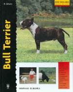 Bull terrier