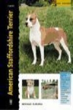 American staffordshire terrier