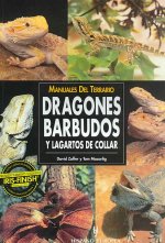 Dragones barbudos y lagartos de collar