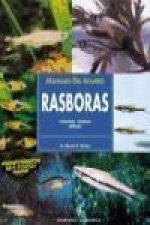 Rasboras : cuidados, crianza, especies