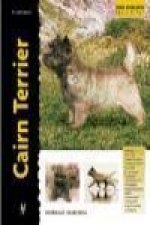 Cairn terrier