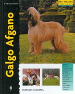Galgo afgano