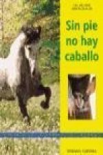Sin pie no hay caballo
