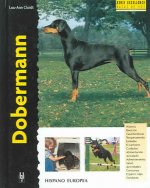 Dobermann